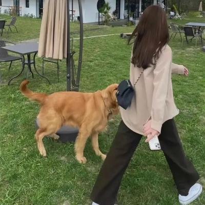 帕洛斯弗迪斯的部落