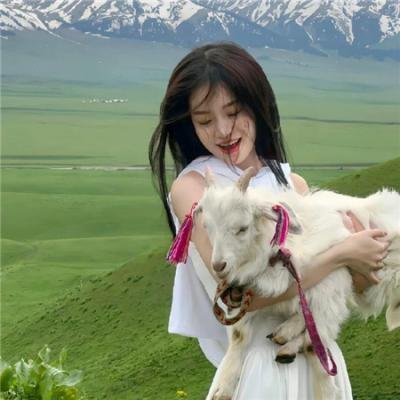 总裁的诱惑
